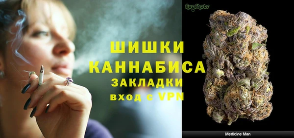 apvp Алзамай
