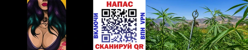 Бошки марихуана Bruce Banner  Купить  Высоцк 